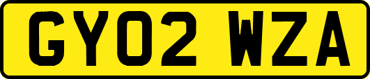 GY02WZA