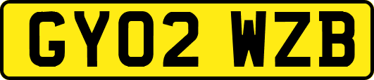GY02WZB