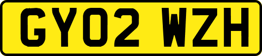 GY02WZH