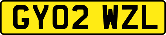 GY02WZL