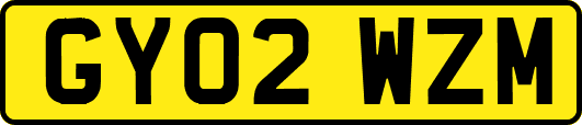 GY02WZM