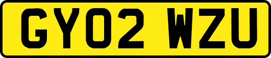 GY02WZU