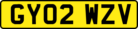 GY02WZV