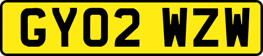 GY02WZW