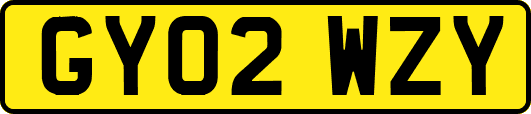 GY02WZY