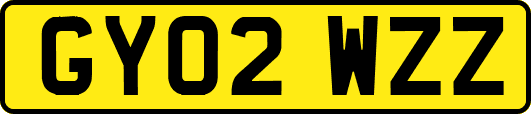 GY02WZZ