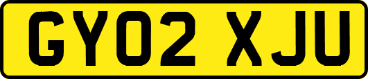 GY02XJU