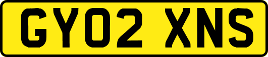 GY02XNS