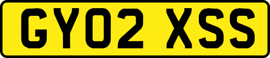 GY02XSS
