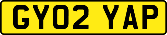 GY02YAP