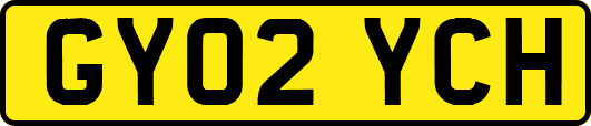 GY02YCH
