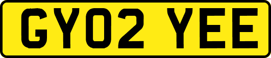 GY02YEE