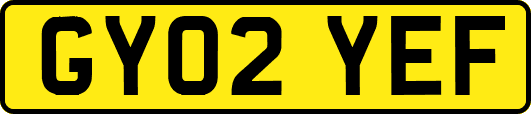 GY02YEF