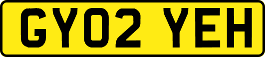 GY02YEH