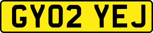 GY02YEJ