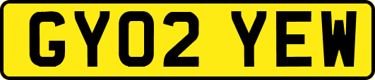 GY02YEW