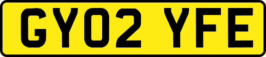 GY02YFE