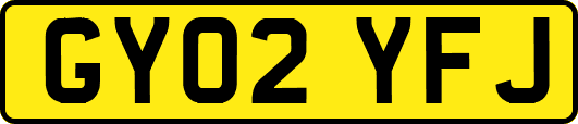 GY02YFJ