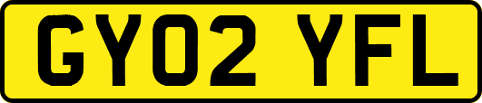 GY02YFL