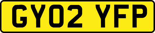 GY02YFP