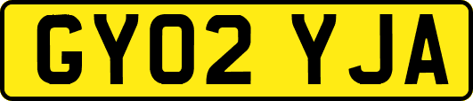 GY02YJA