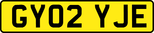 GY02YJE