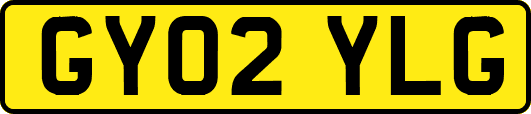 GY02YLG