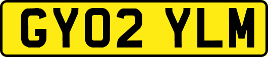 GY02YLM