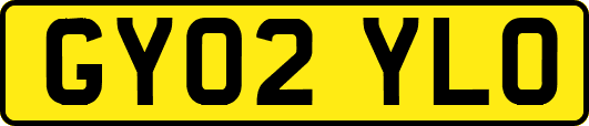 GY02YLO