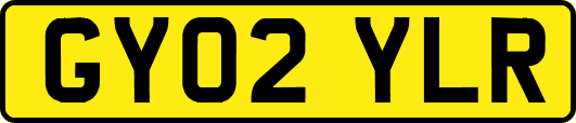GY02YLR