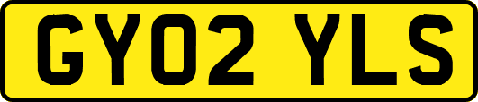 GY02YLS