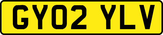 GY02YLV