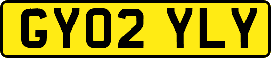 GY02YLY