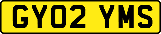 GY02YMS