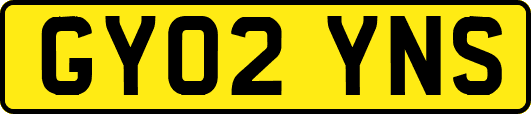 GY02YNS