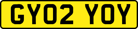 GY02YOY