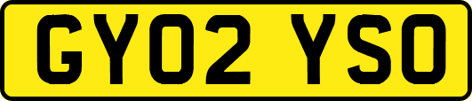 GY02YSO