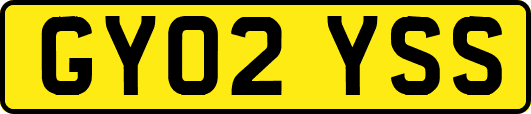 GY02YSS