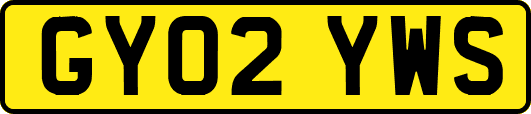GY02YWS