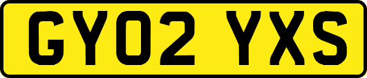 GY02YXS