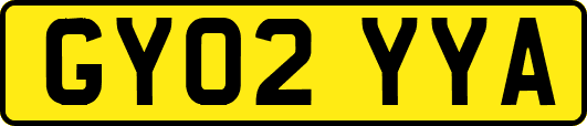 GY02YYA