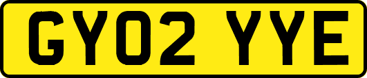 GY02YYE