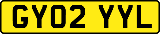 GY02YYL