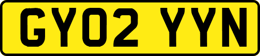 GY02YYN
