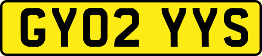 GY02YYS