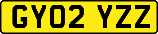 GY02YZZ