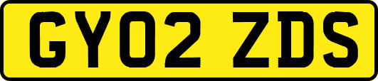 GY02ZDS