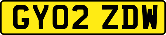 GY02ZDW