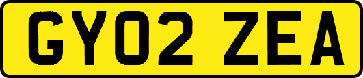 GY02ZEA
