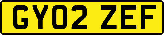 GY02ZEF